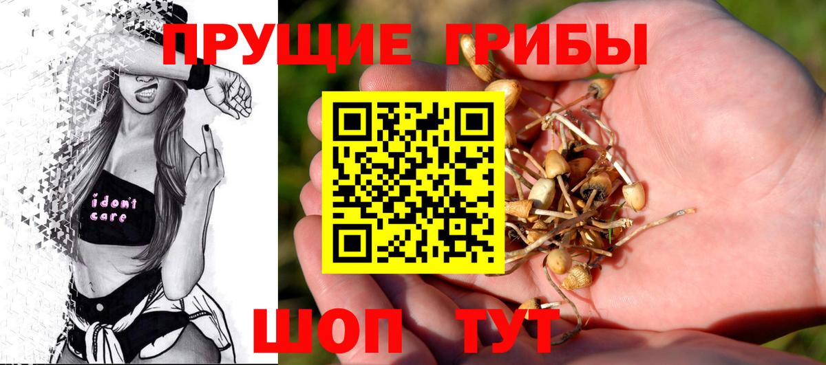 Псилоцибиновые грибы GOLDEN TEACHER Елабуга